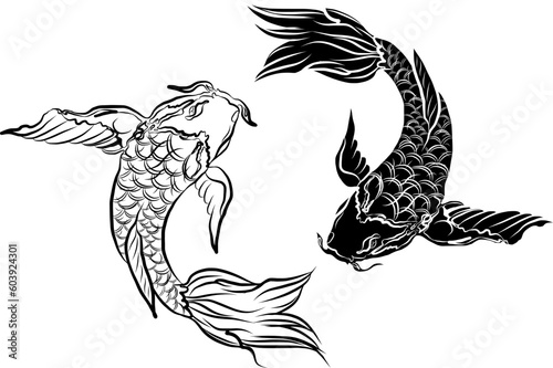 Beautiful line art of gold fish vector illustration.Koi fish for printing on shirt on white isolated background.