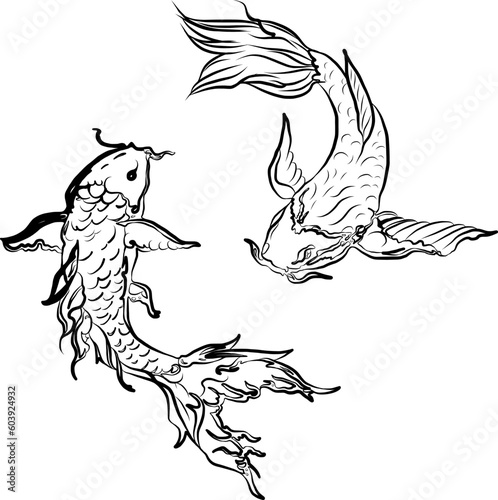 Beautiful line art of gold fish vector illustration.Koi fish for printing on shirt on white isolated background.