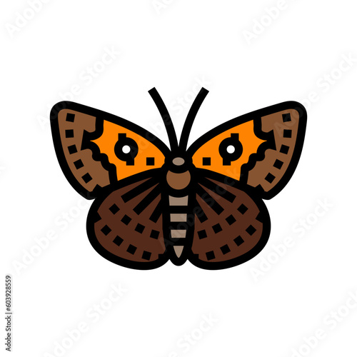 mormon metalmark insect color icon vector. mormon metalmark insect sign. isolated symbol illustration photo