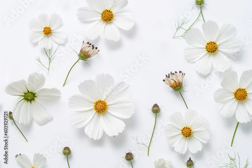 A beautiful pattern with white chamomile  daisies flowers. Floral meadow texture. Holiday wedding  birthday background from a composition of wild flowers Copy space  flat lay  top view. Postcard. ai