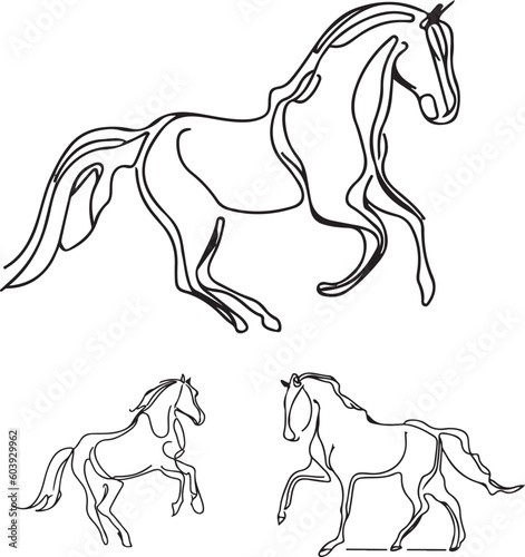 Horse line art vector silhouette