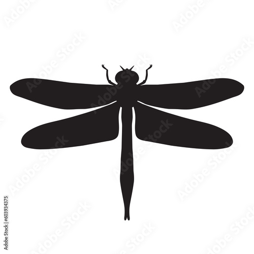 Beautiful dragonfly vector cartoon illustration