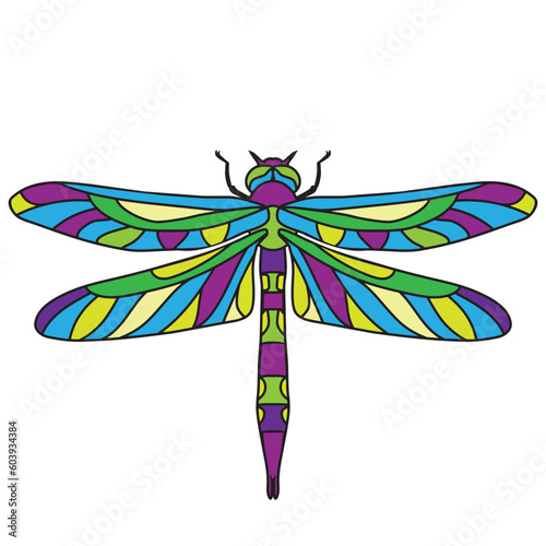 Beautiful dragonfly vector cartoon illustration