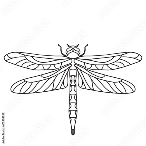 Beautiful dragonfly vector cartoon illustration