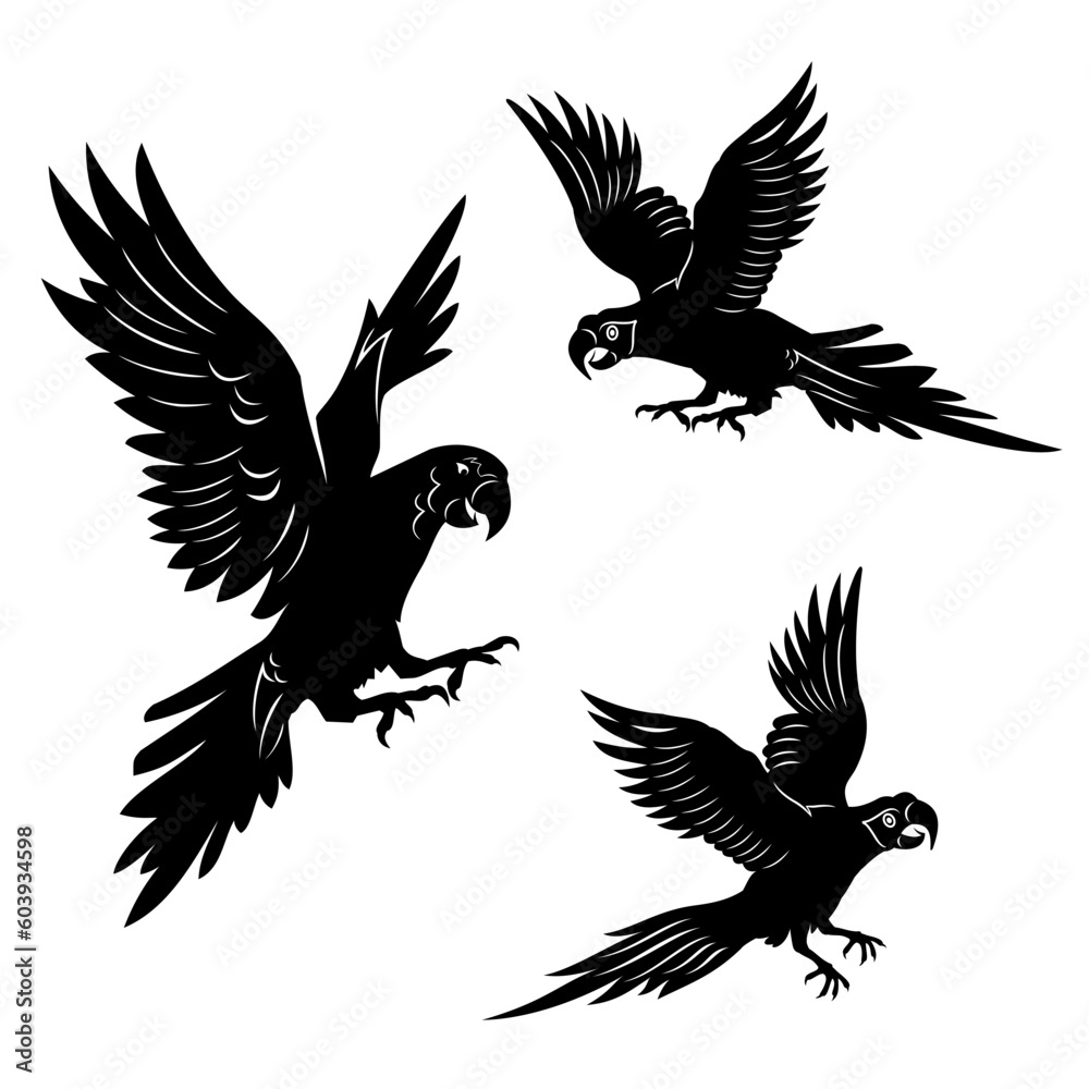 Obraz premium parrot vector illustration