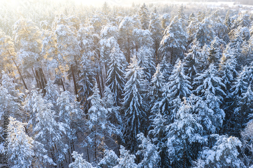 Wallpaper Mural Beautiful winter drone aerial landscape photo - snowy frozen trees on sunset time, Poland, Suwalszczyzna Torontodigital.ca