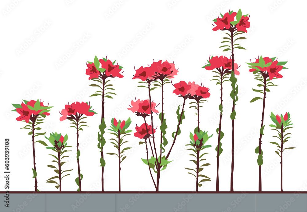 Obraz premium PNG, Illustration of Azalea Flower Beds