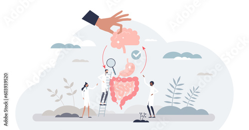 Gut brain axis as emotional feeling and bowel connection tiny person concept, transparent background. Interaction between mood and intestine or stomach micro flora health illustration.