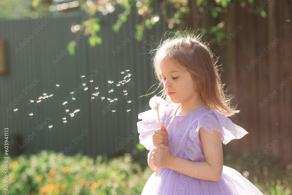 Happy beautiful girl blowing on a dandelion on a sunny summer evening. A child in the fresh air, in nature. The setting sun. Happy beautiful girl blowing on a dandelion on a sunny summer evening. A child in the fresh air, in nature. The setting sun.