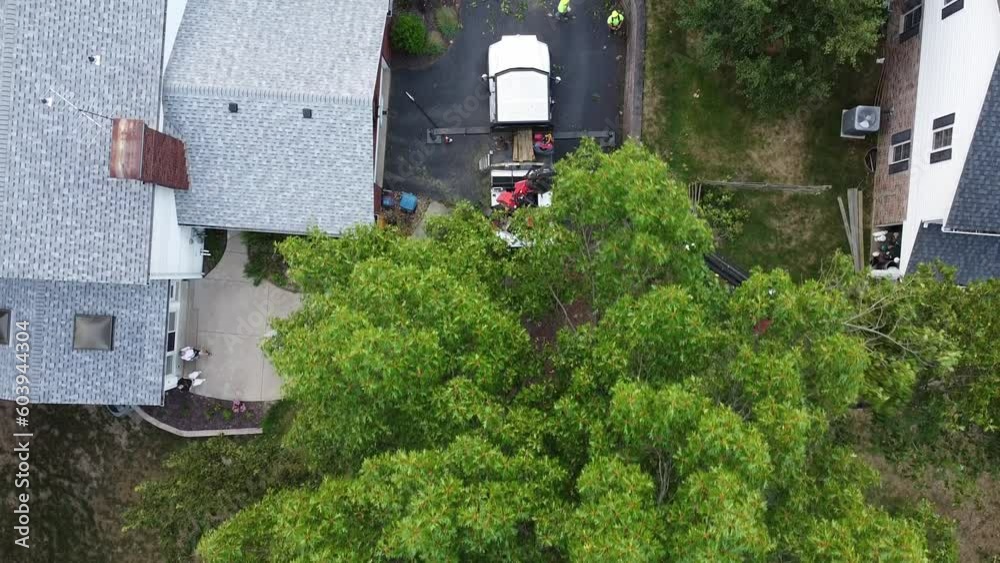 Overhead Drone Shot of Boom Arm Truck Tree Trimming Overhead Drone Shot of Boom Arm Truck Tree Trimming