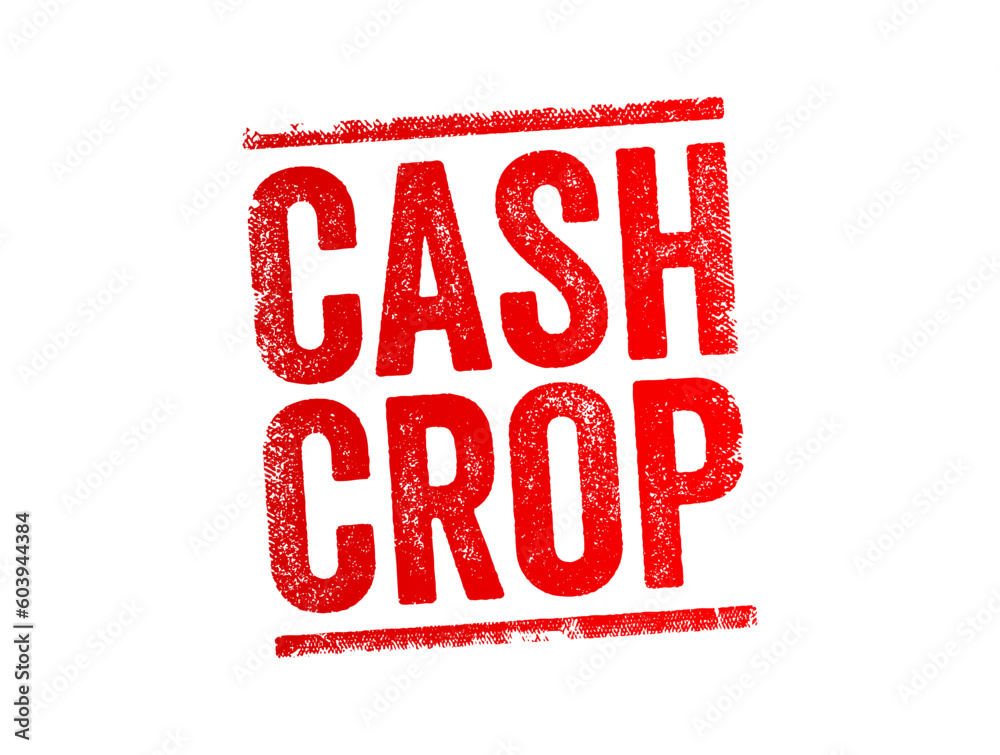 Cash Crop is an agricultural crop which is grown to sell for profit, text concept stamp Cash Crop is an agricultural crop which is grown to sell for profit, text concept stamp