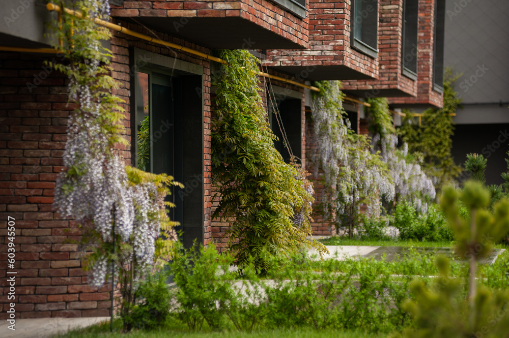 Ornamental plants in landscape design. English backyard. Modern buildings.