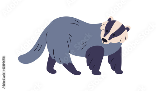 Badger, wild animal. European mammal, wood fauna with black-striped muzzle, h...