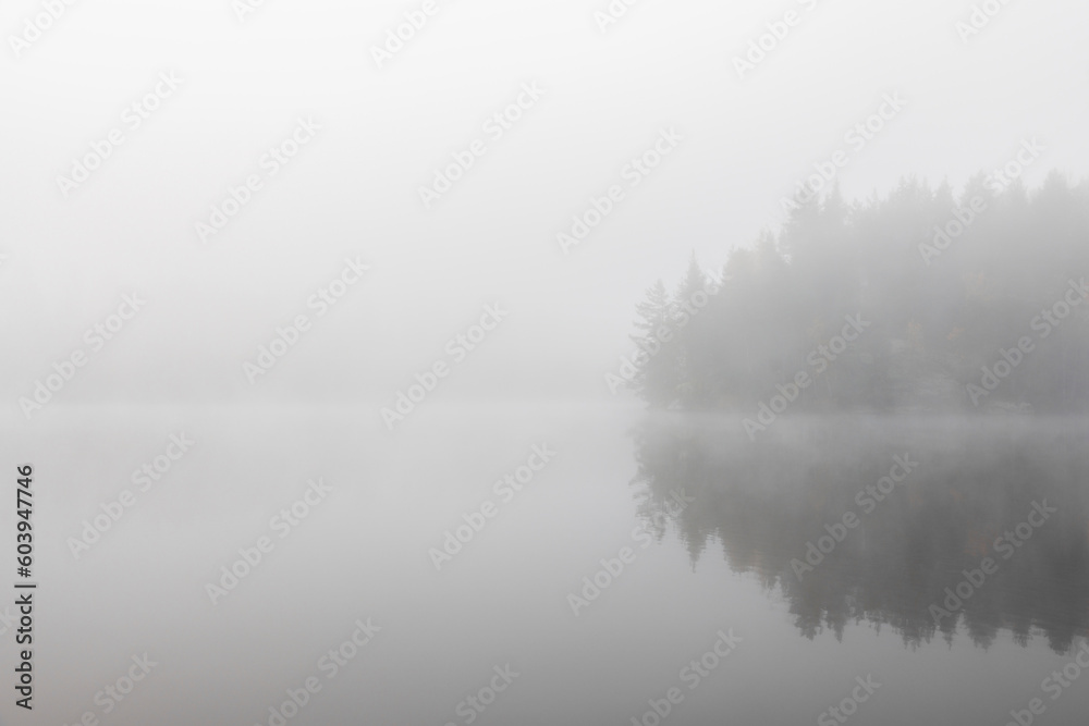 Forest and lake under fog