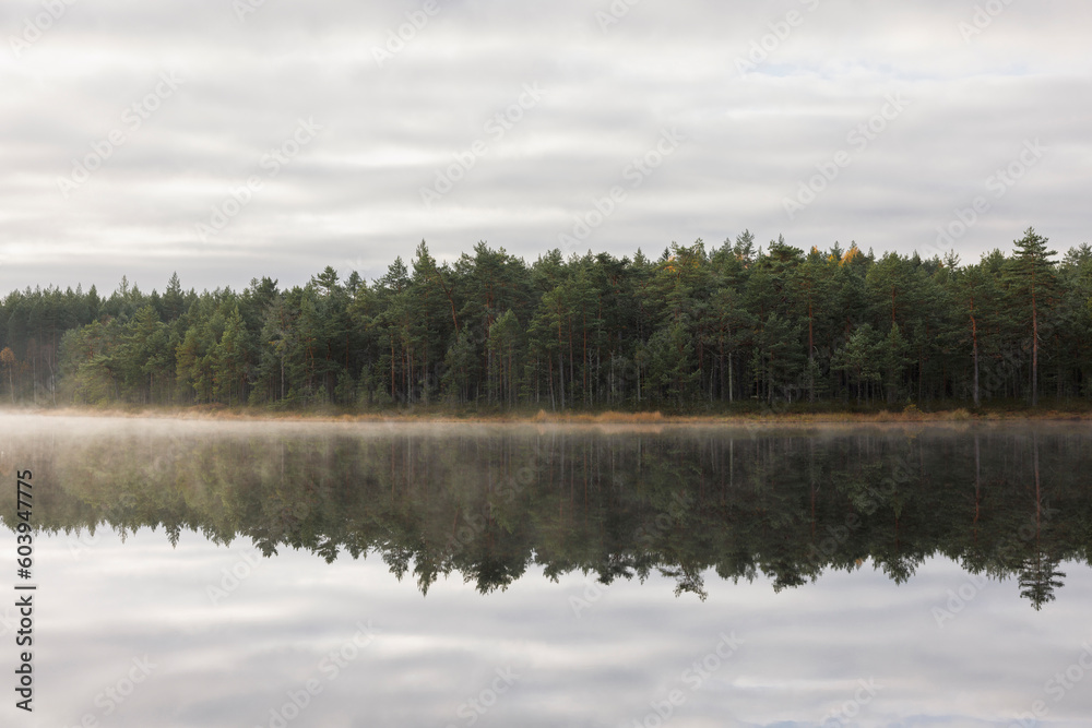 Forest by river under clouds Forest by river under clouds
