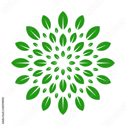 Circular leaves pattern geometric green color isolated on white background. Leaves circular vector