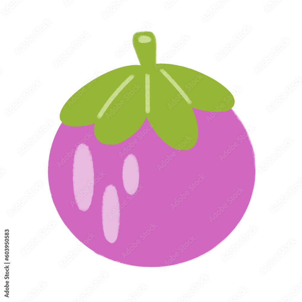 illustration of a mangosteen illustration of a mangosteen