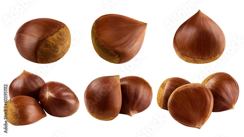 Chestnut, isolated on white background, full depth of field