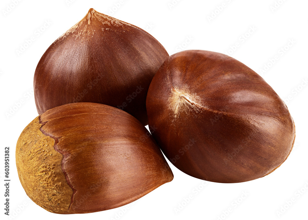 Obraz premium Chestnut, isolated on white background, full depth of field