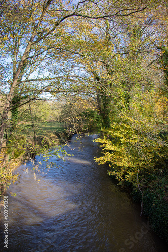 River and trees in the Summertime. © Jenn's Photography 