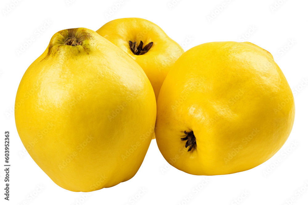 quince isolated on the white background, full depth of field