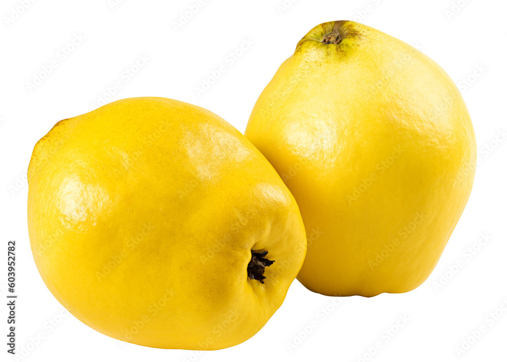 quince isolated on the white background, full depth of field