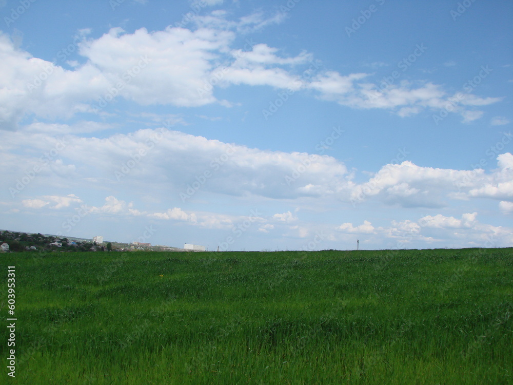 A panorama of cloud patterns in the blue sky above a young rye field on the outskirts of the village. A panorama of cloud patterns in the blue sky above a young rye field on the outskirts of the village.