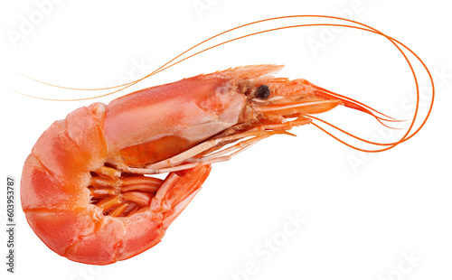 Fotografía shrimp isolated on white background, full depth of field