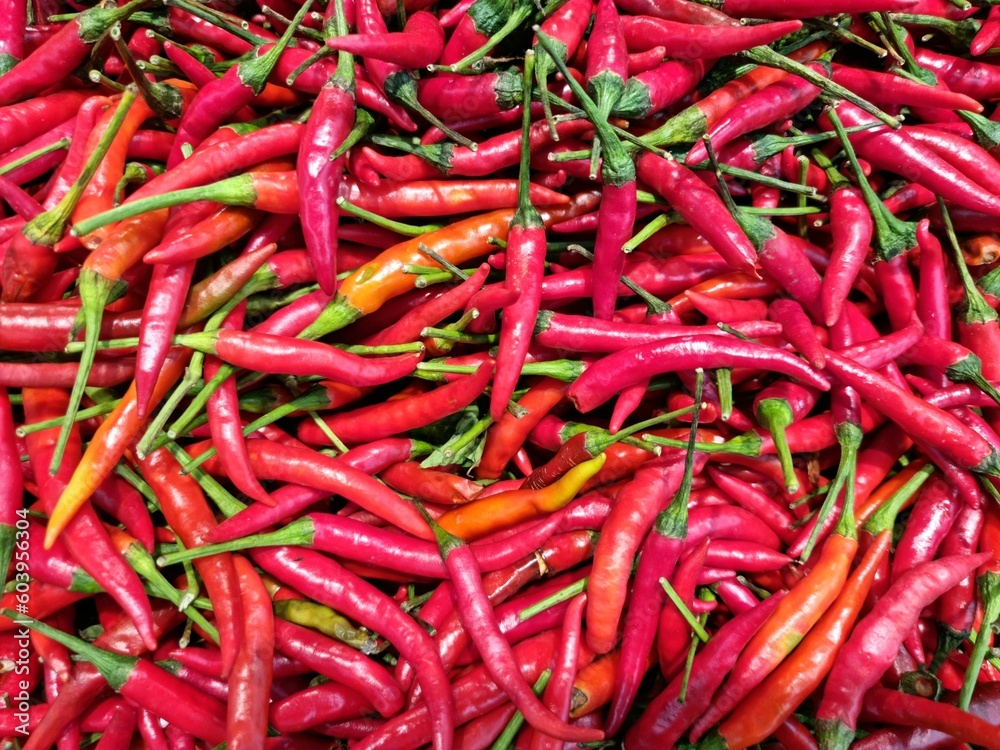 Fresh Red Hot Chillies pile Background Fresh Red Hot Chillies pile Background