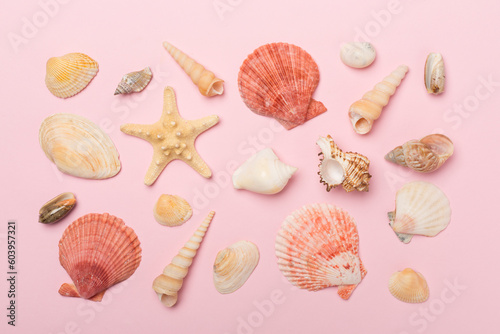 Sea shells on color background, top view