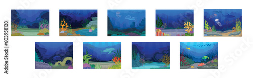 Underwater Bottom View with Algae and Sea Weeds Vector Set