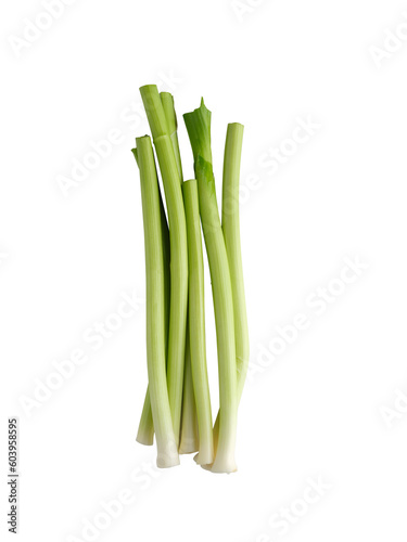 fresh green leek