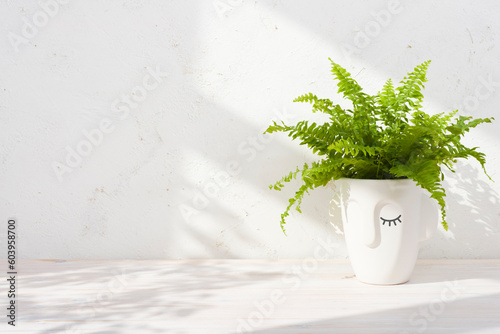 Green plant pot on wooden table background with copy space