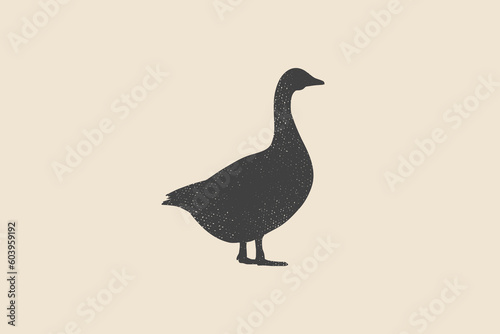 Goose. Silhouette vector image of a goose in retro style. The image can be used for packaging, postcards, emblems.