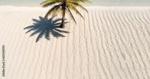 Tropical beach background with white sand, palm tree shadows,summer holiday background. Travel and beach vacation, copy space for text. top view