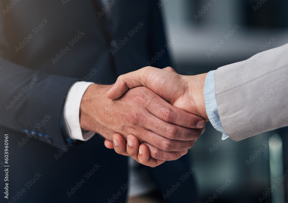 Handshake, hiring and hands of business men in office for partnership, recruitment deal and thank you. Corporate, collaboration and male workers shaking hands for onboarding, agreement and teamwork