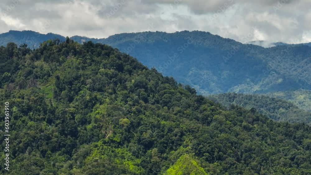 Mountains and hills with green vegetation and trees in the tropics. Sumatra, Indonesia.