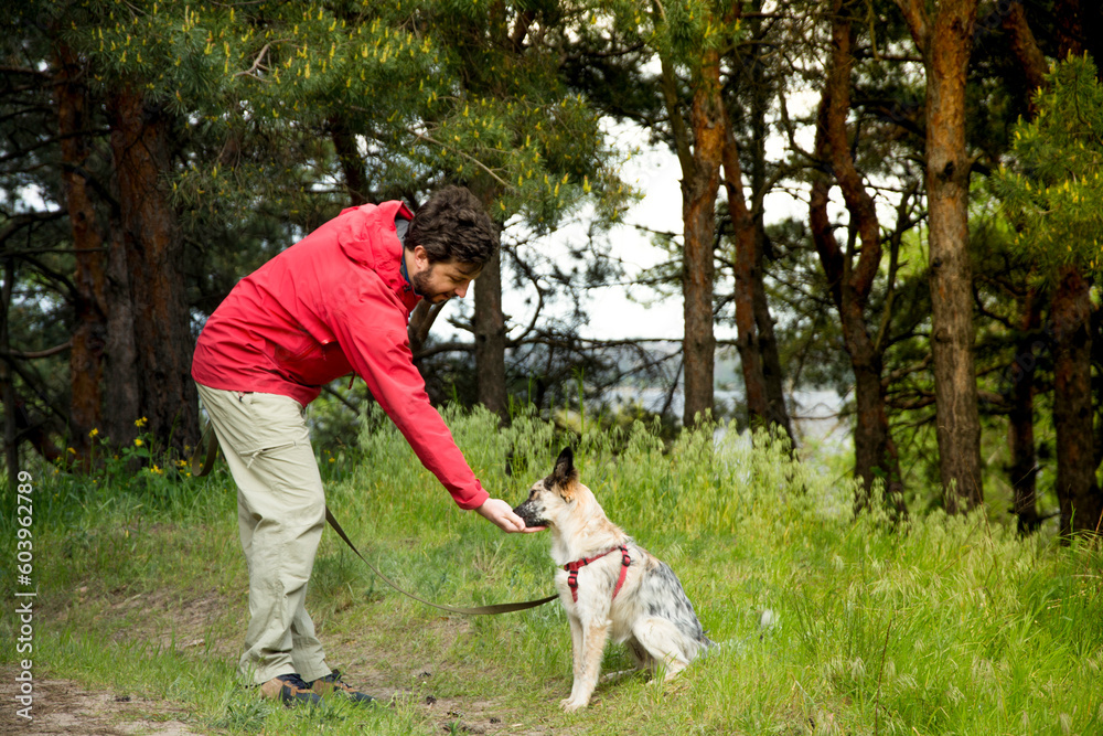 A guy in a red jacket walks his dog in the woods