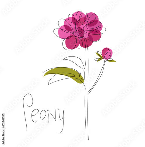 Fototapeta Naklejka Na Ścianę i Meble -  Continuous one line drawing purple peony. Farmer market Logo concept. Abstract hand drawn flower by one line. Minimalist black line sketch on pastel colors spots. Fashionable trend vector illustration