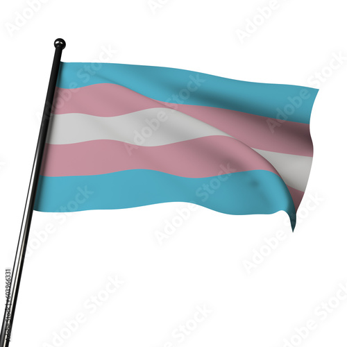 Transgender Pride Flag  Waving in 3D. Symbol of LGBTQ+ Visibility and Inclusivity (ID: 603966331)