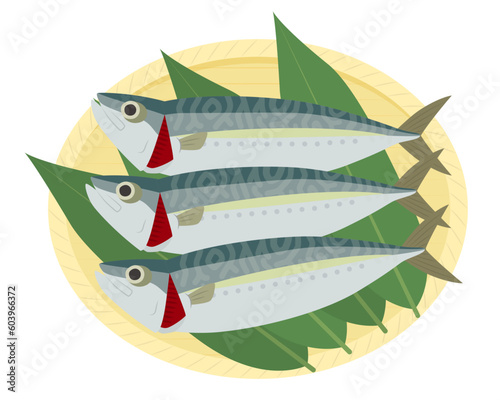 首折れサバのイラスト