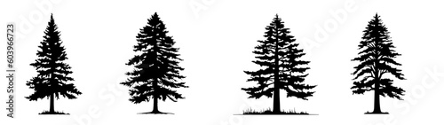 Forest woods trees vector illustration set collection for logo - Black silhouette of different spruce and fire, isolated on white background (Generative AI)