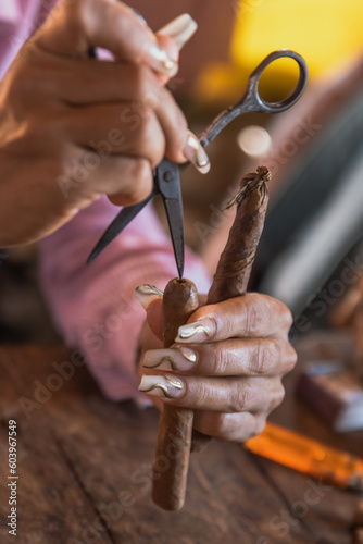 Manual production of a cigar with tobacco leaves in a farm in Vinales, Cuba.