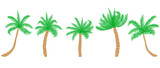 Tropical palm tree set. Vector illustration