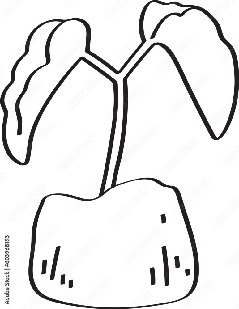 hand drawn side view of plant illustration hand drawn side view of plant illustration