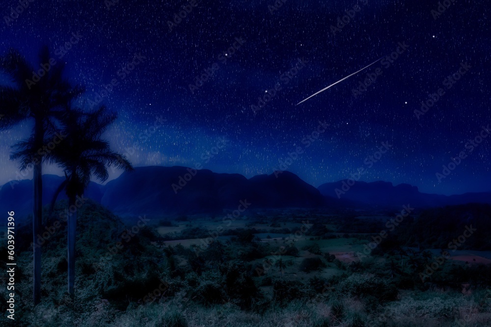 composition of A view of the UNESCO valley of Vinales with palm trees at night with shooting stars and the moon