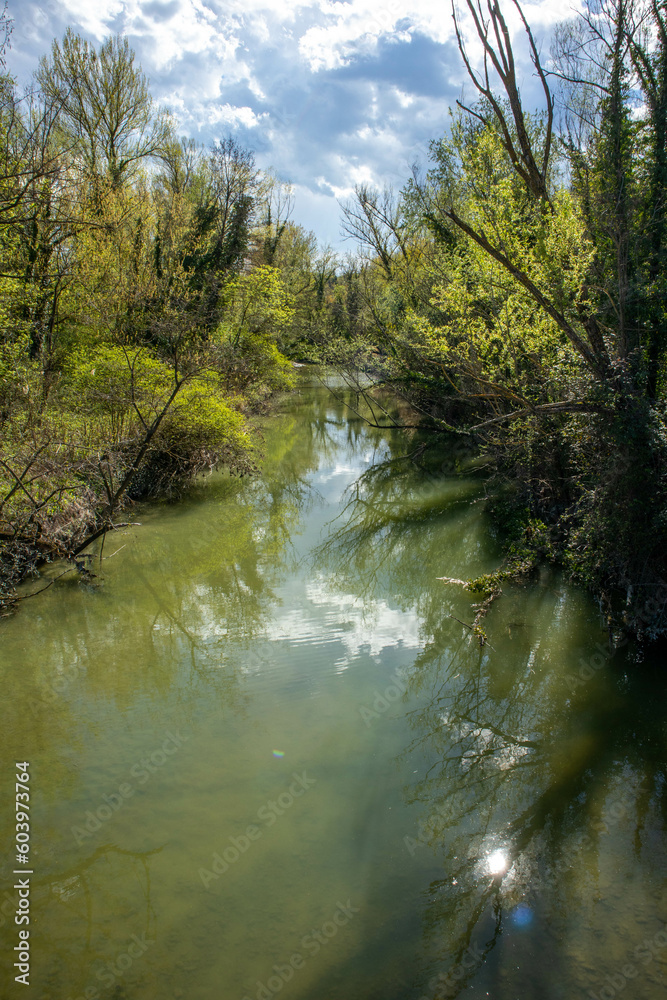 Passeggiata lungo il fiume Idice, città metropolitana di Bologna, Emilia Romagna Passeggiata lungo il fiume Idice, città metropolitana di Bologna, Emilia Romagna