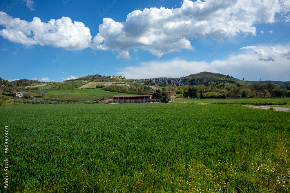 Passeggiata lungo il fiume Idice, città metropolitana di Bologna, Emilia Romagna Passeggiata lungo il fiume Idice, città metropolitana di Bologna, Emilia Romagna