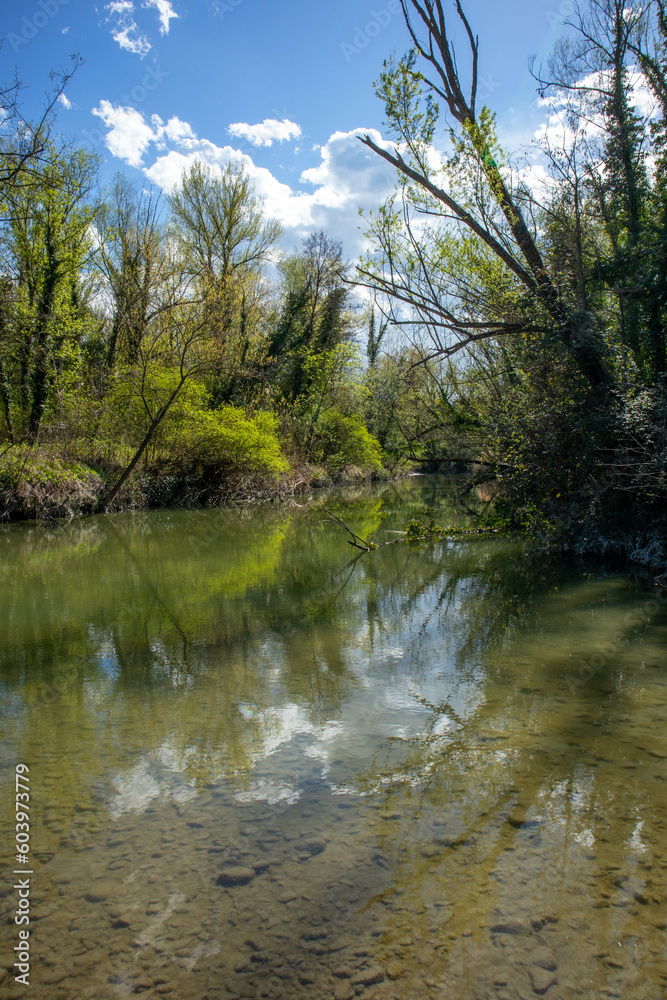 Passeggiata lungo il fiume Idice, città metropolitana di Bologna, Emilia Romagna Passeggiata lungo il fiume Idice, città metropolitana di Bologna, Emilia Romagna