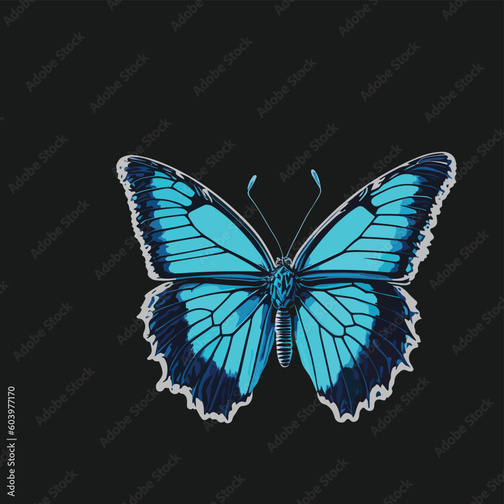butterfly butterfly